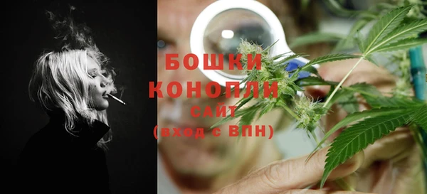 сатива Алзамай