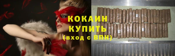 стафф Алексин
