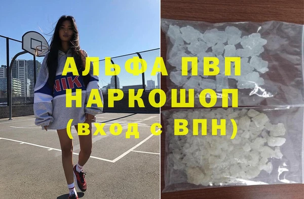 сатива Алзамай