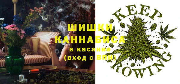 стафф Алексин