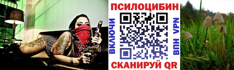 Псилоцибиновые грибы GOLDEN TEACHER  Болхов 